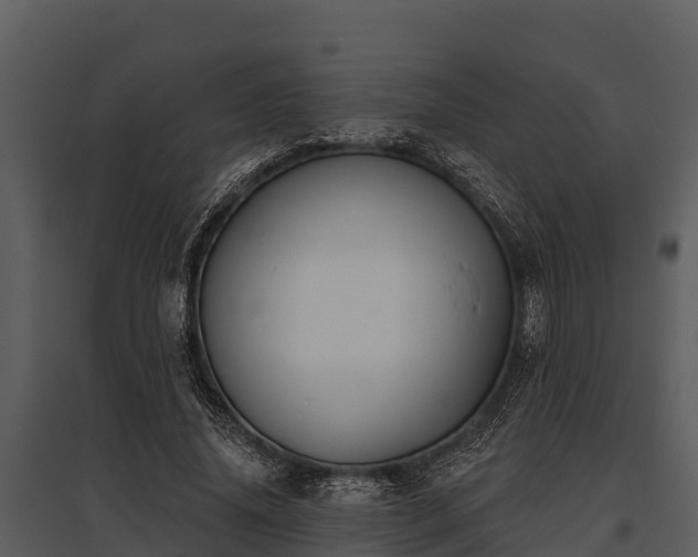 X0000095680636200801151126