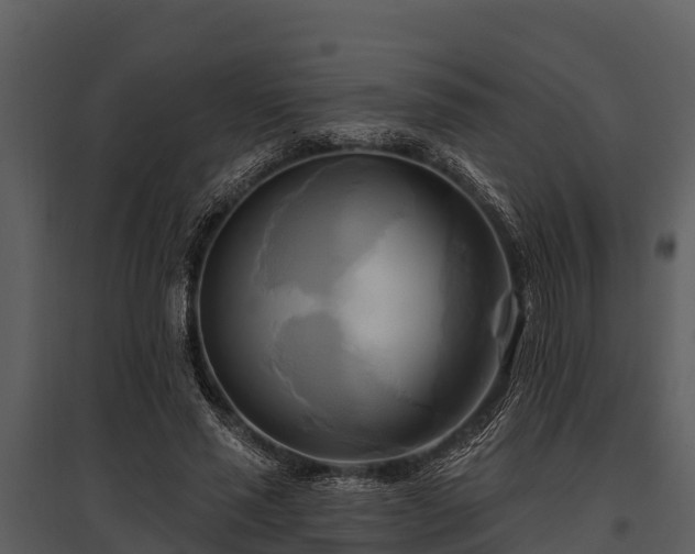 X0000095680637200801151126