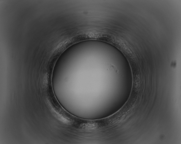 X0000095680639200801151126