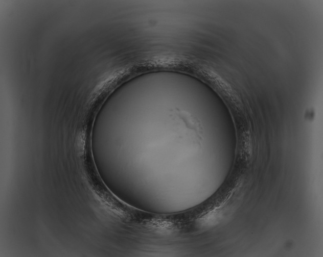 X0000095680640200801151126