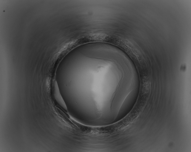 X0000095680641200801151126