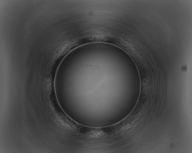 X0000095680642200801151126