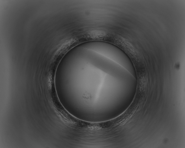 X0000095680644200801151126