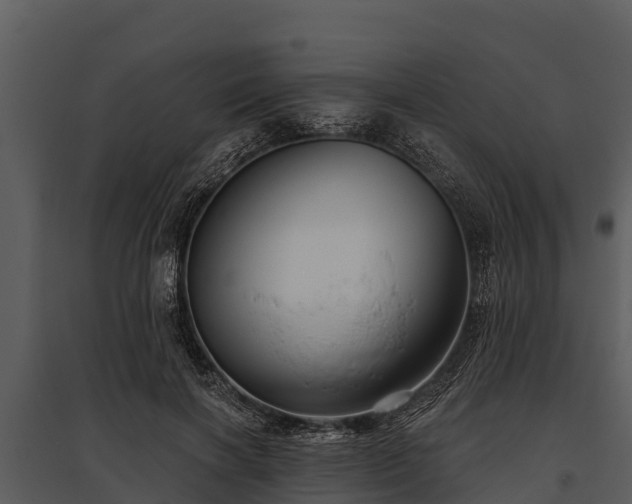 X0000095680646200801151126