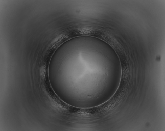 X0000095680648200801151126