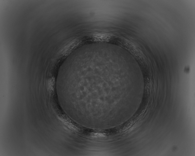 X0000095680649200801151126
