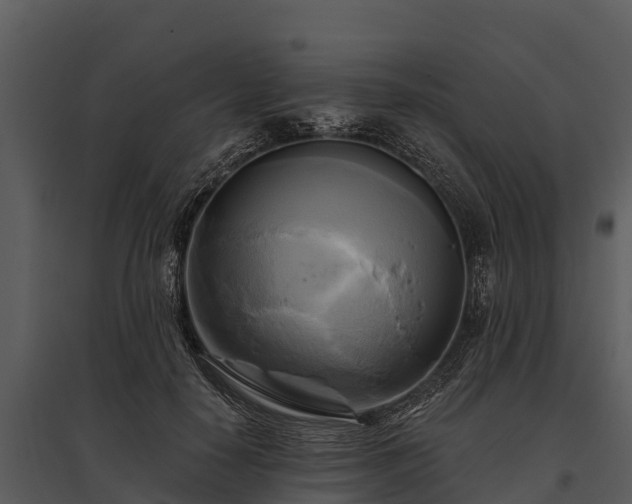 X0000095680650200801151126