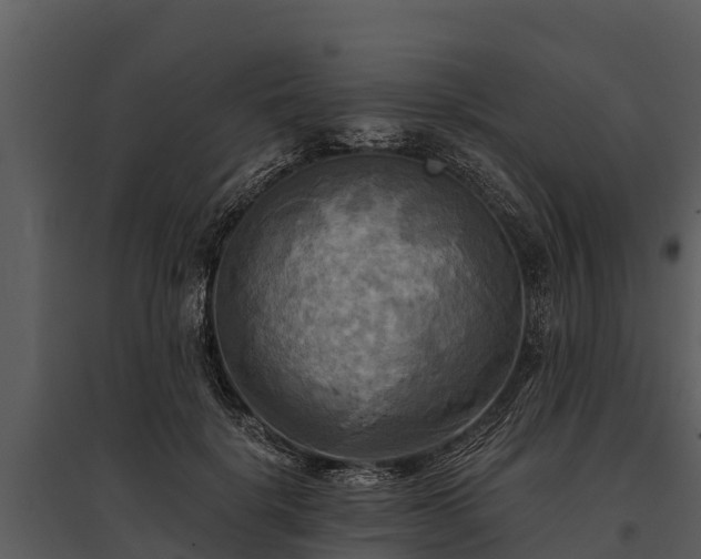 X0000095680652200801151126