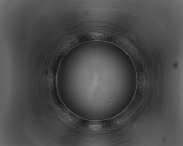X0000095680653200801151126