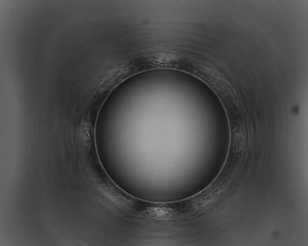 X0000095680654200801151126