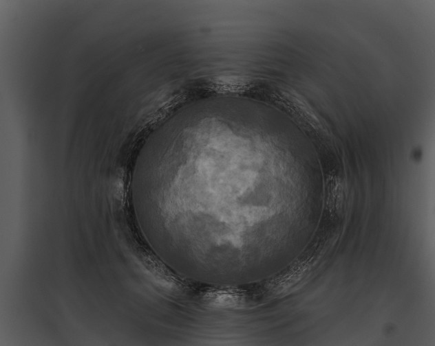 X0000095680655200801151126