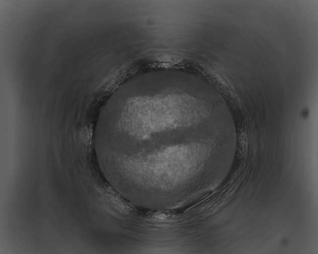 X0000095680657200801151126