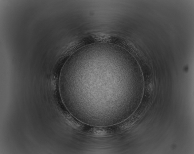X0000095680658200801151126
