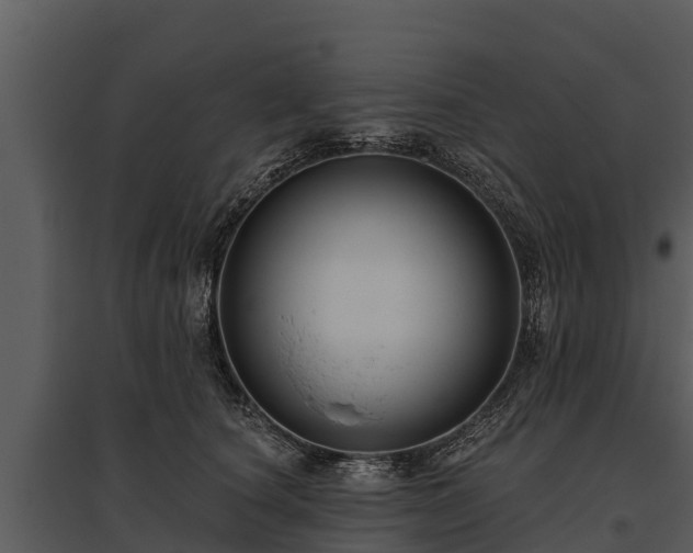X0000095680660200801151126