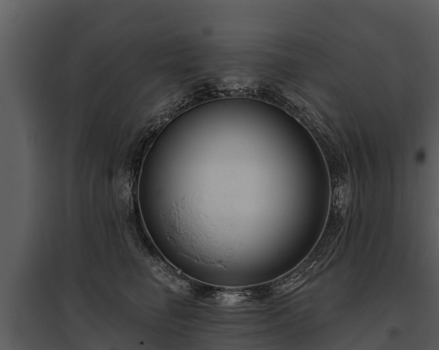 X0000095680662200801151127