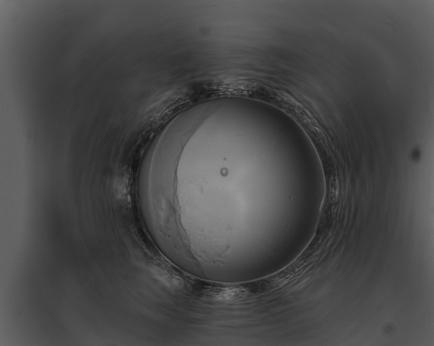 X0000095680663200801151127