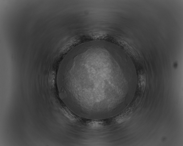 X0000095680664200801151127