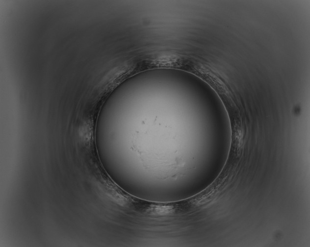 X0000095680665200801151127