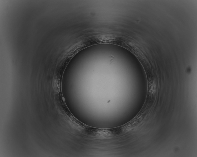 X0000095680666200801151127