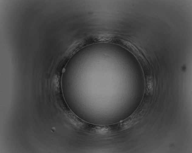 X0000095680667200801151127