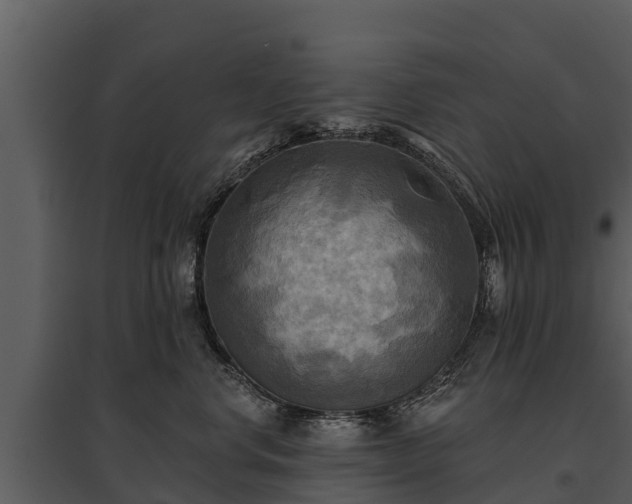 X0000095680668200801151127