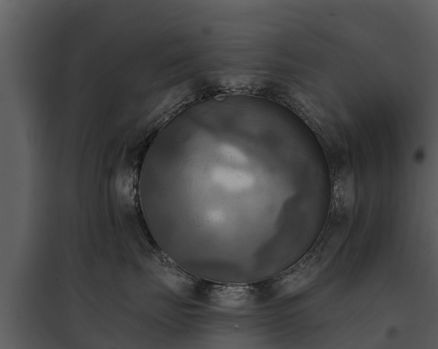 X0000095680671200801151127