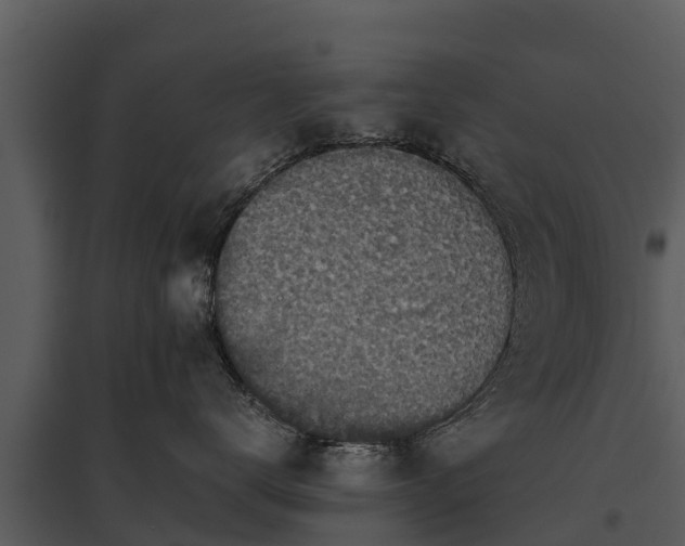 X0000095680672200801151127