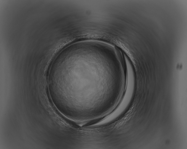 X0000095680673200801151126