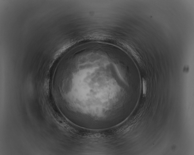 X0000095680675200801151126