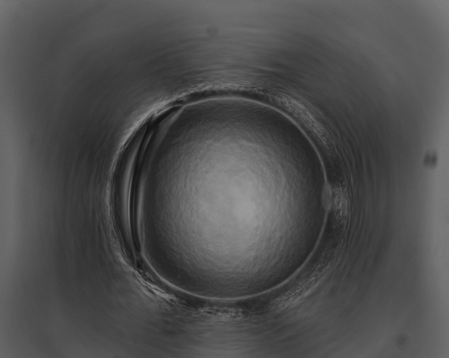 X0000095680676200801151126