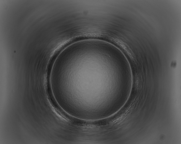 X0000095680677200801151126