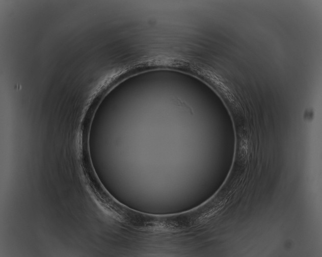 X0000095680678200801151126