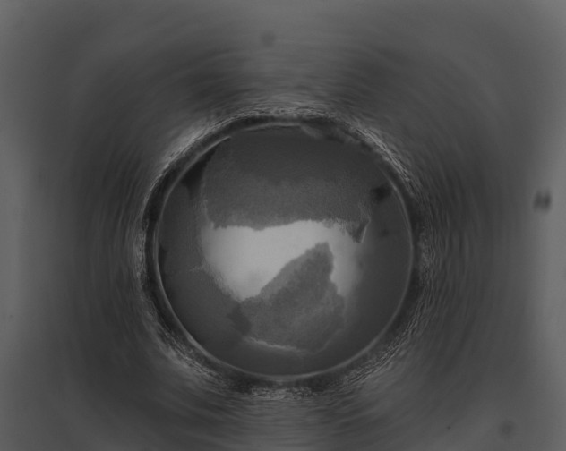 X0000095680679200801151126