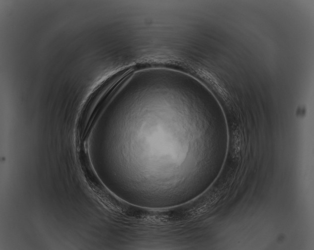 X0000095680680200801151126