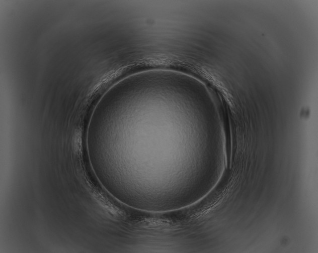 X0000095680681200801151126