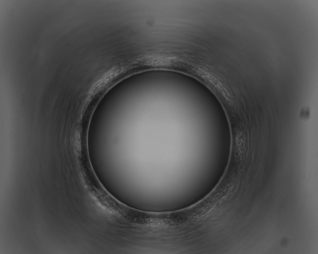 X0000095680682200801151126