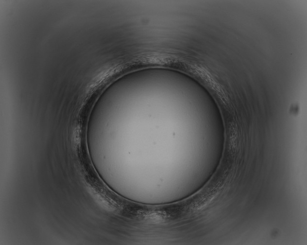 X0000095680683200801151126