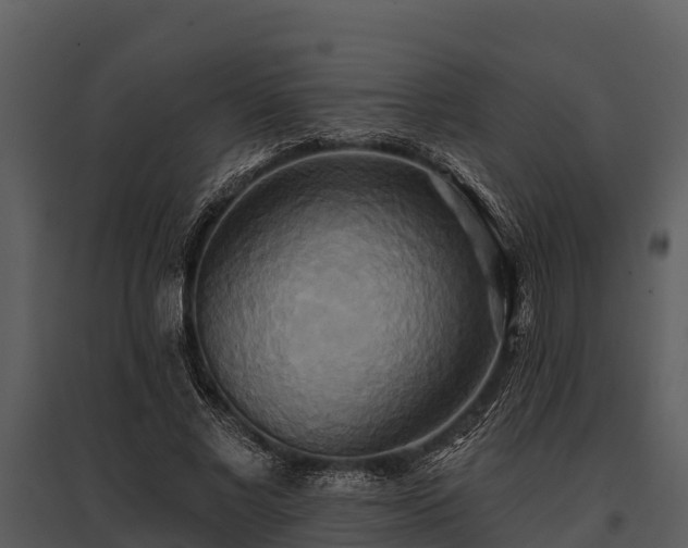 X0000095680685200801151126
