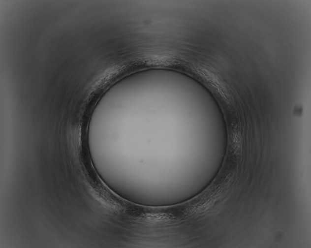 X0000095680686200801151126