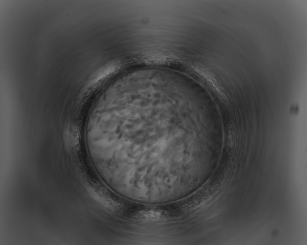 X0000095680687200801151126
