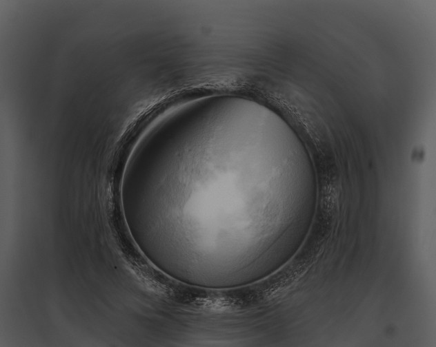 X0000095680688200801151126