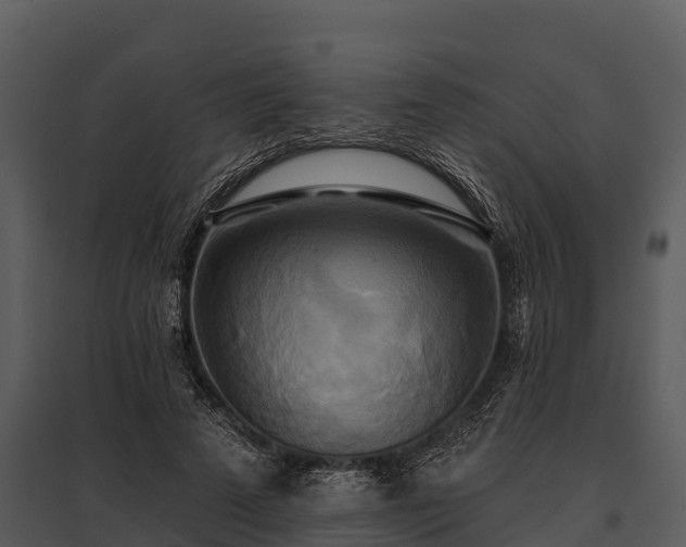 X0000095680689200801151126