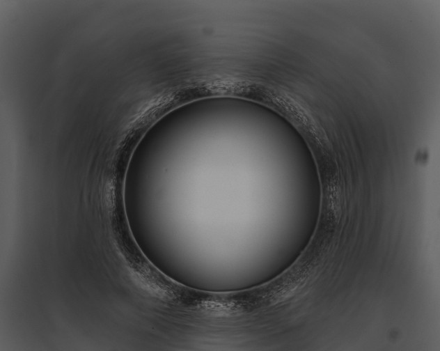 X0000095680690200801151126
