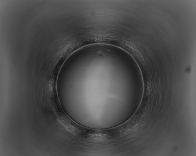 X0000095680691200801151126