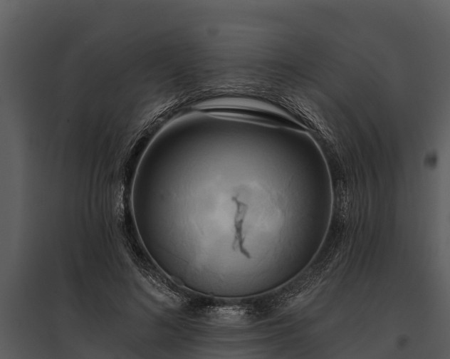 X0000095680692200801151126