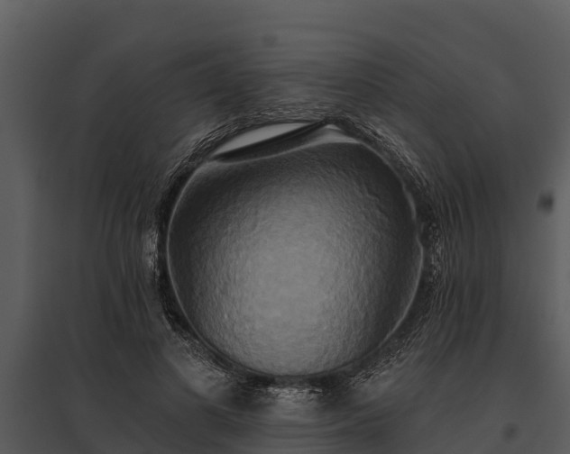 X0000095680693200801151126