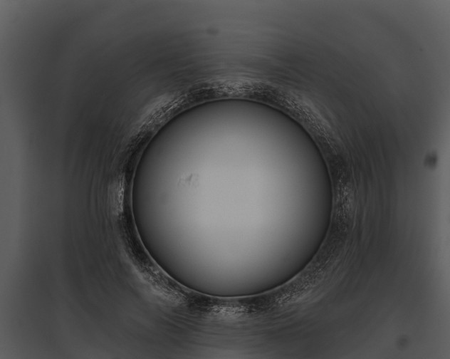 X0000095680694200801151126