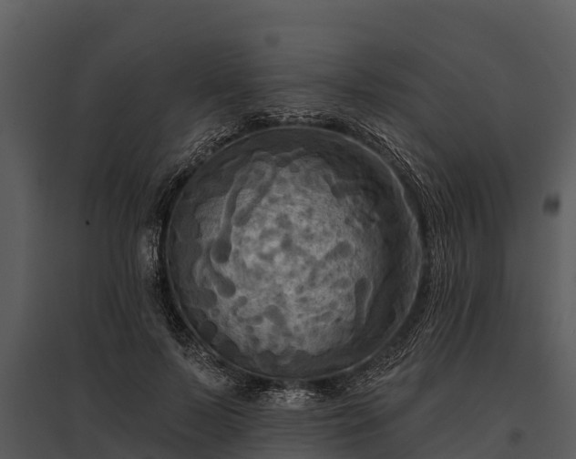 X0000095680695200801151126
