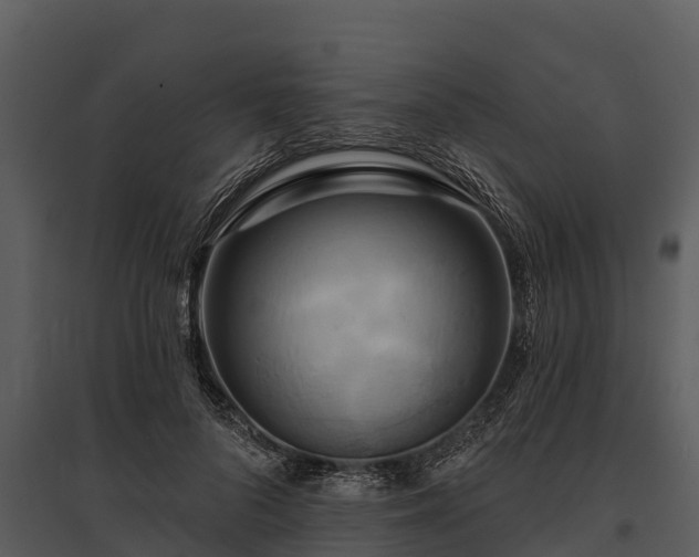 X0000095680696200801151126