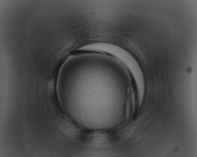 X0000095680697200801151126